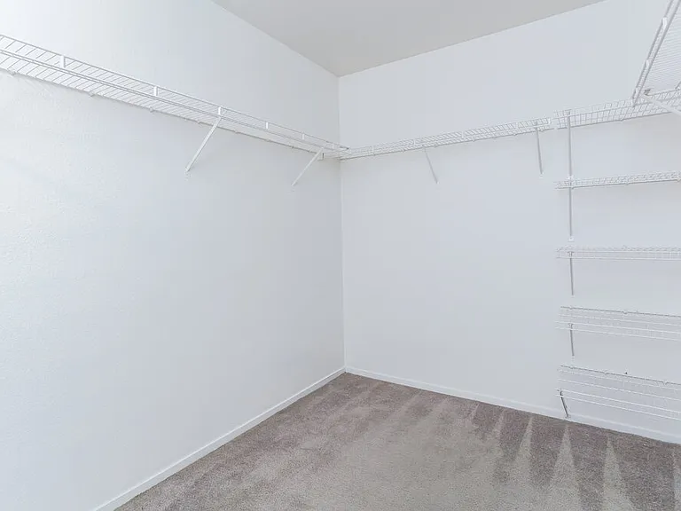 5536 La Pelusa St — Photo 12