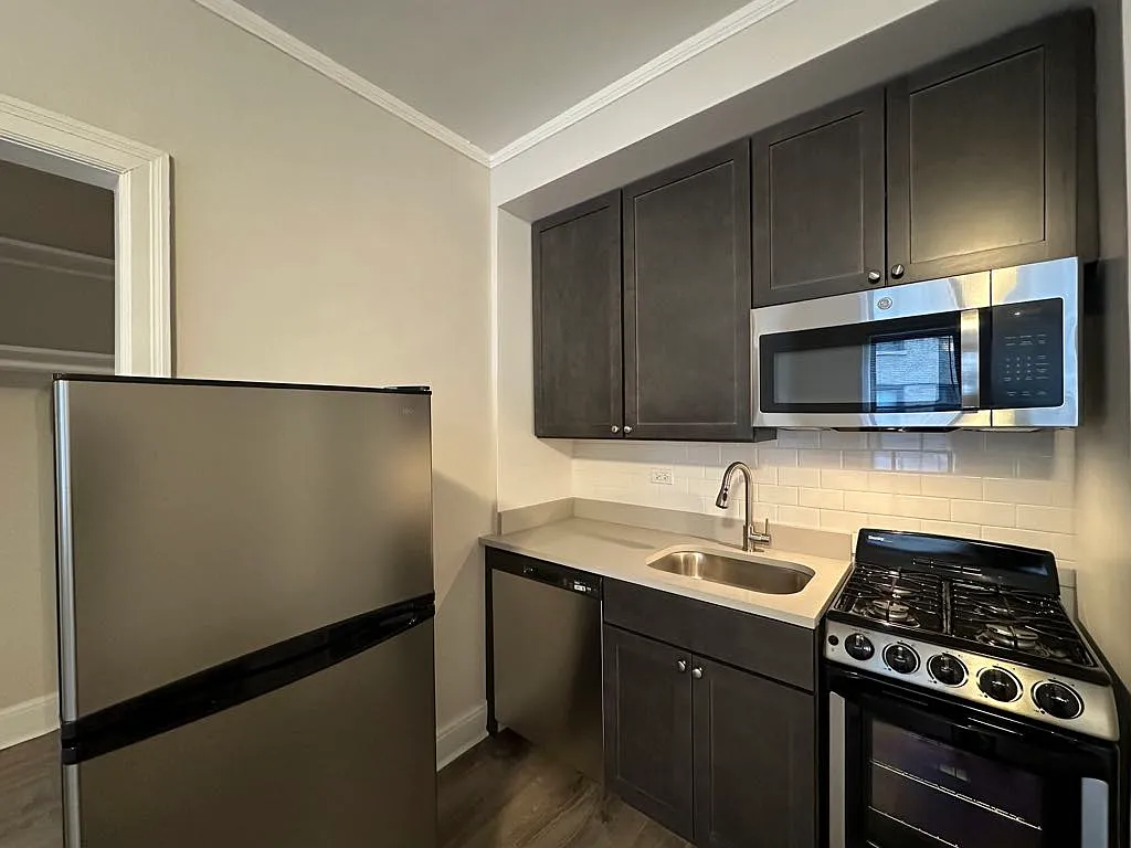 Appealing Studio, 1 Bath at Diversey + Milwaukee (Logan Square) — Photo 3