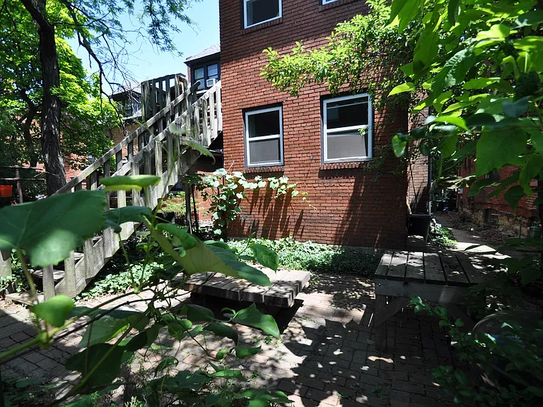 back yard