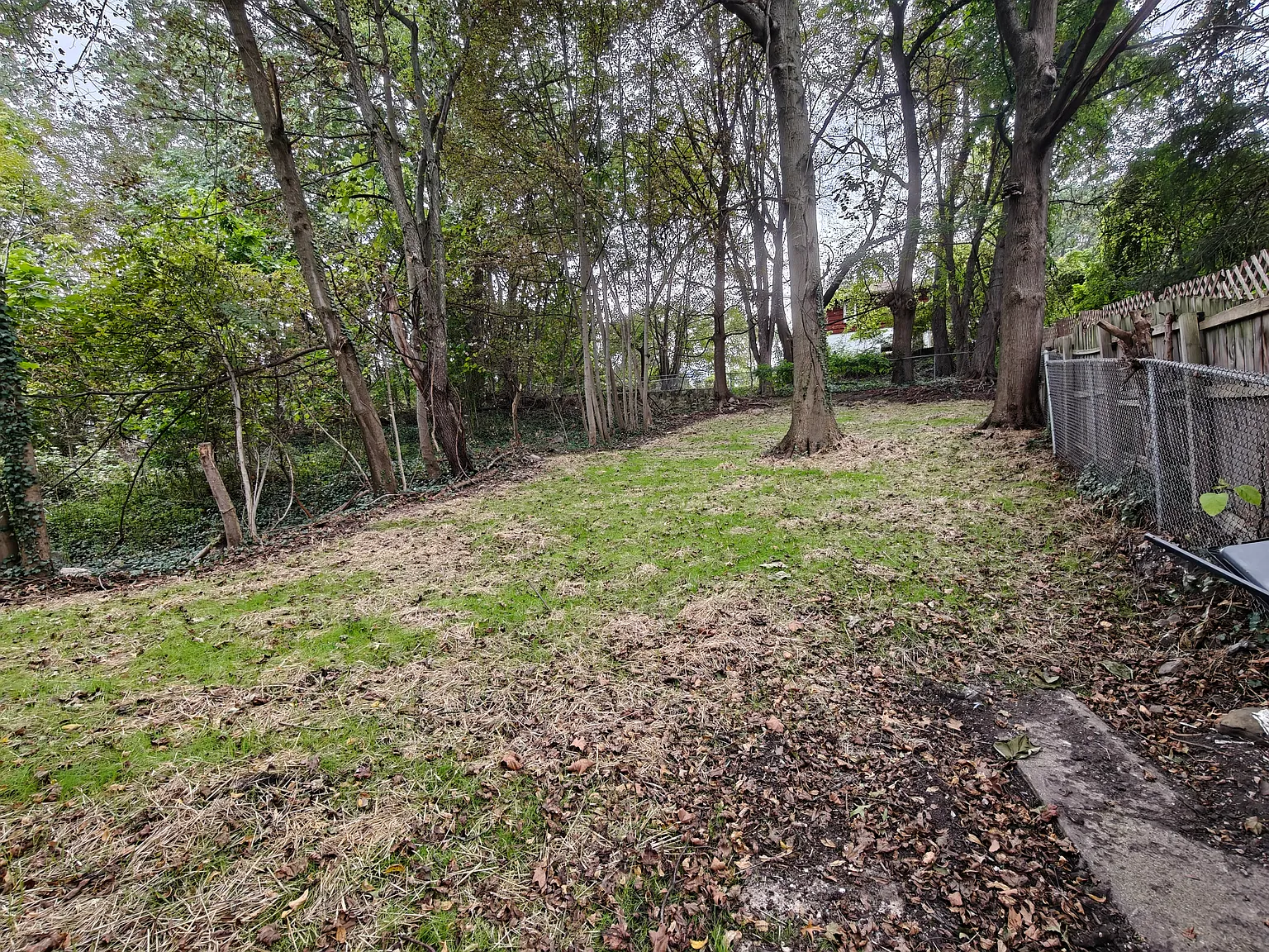 4 bed, 1.5 bath, 1040 sqft, $1,275 — Photo 2