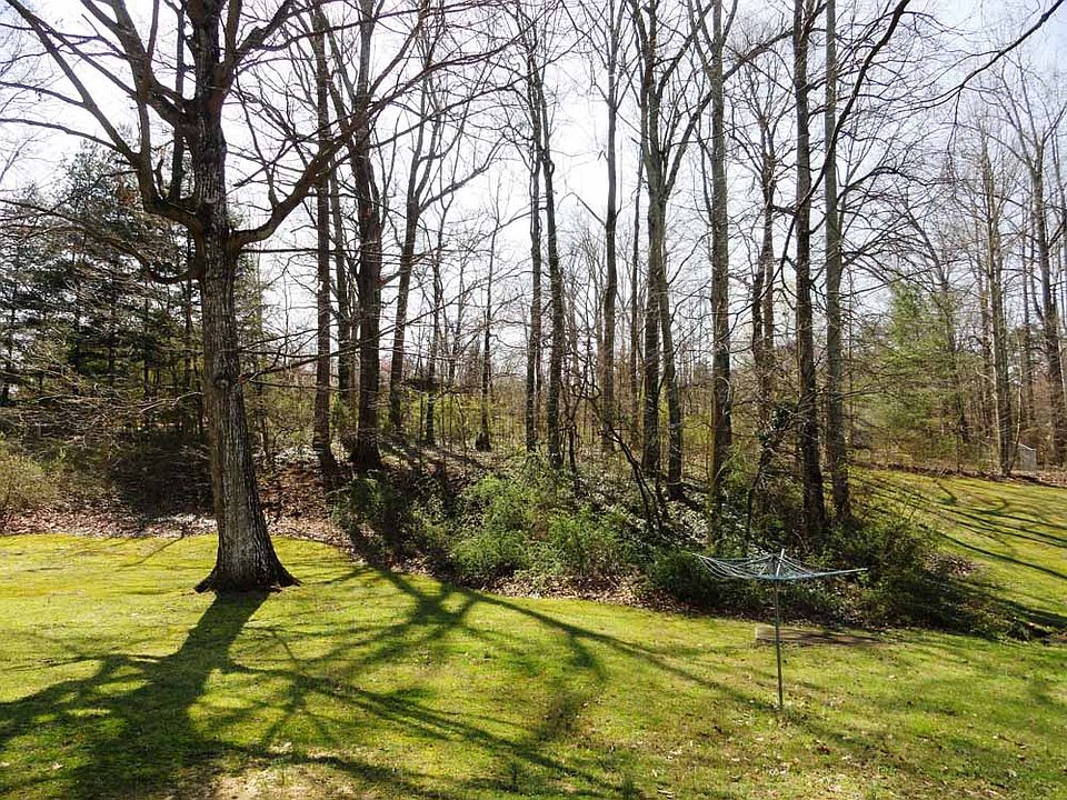 View: Lovely wooded area
