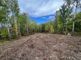 Tbd Christmas Point Rd NW, Walker, MN 56484