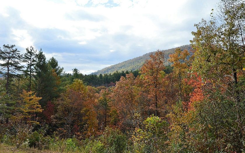 2nd image of 53 Bryant Cove Rd