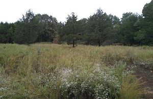 1st image of Old Highway 14
