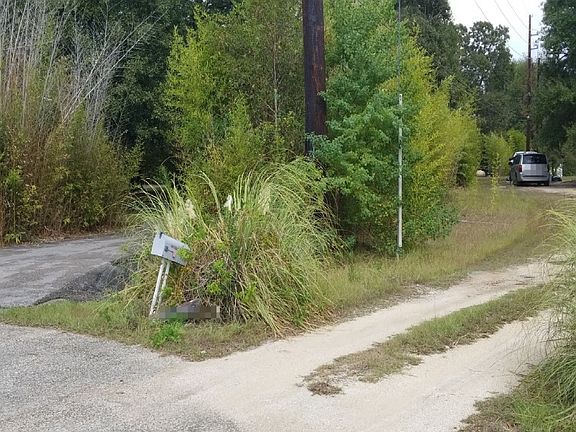 4th image of 16203 Cecilia Cir