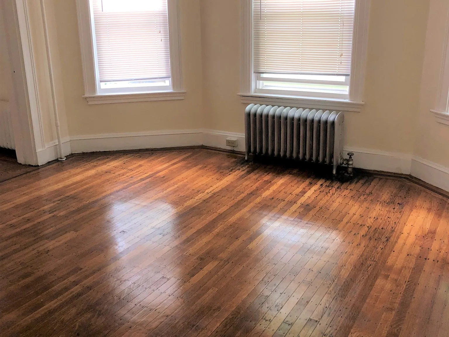 1 bed, 695 sqft, $1,900 — Photo 4