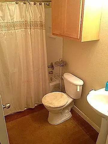 209 Wooded Glen Ct — Photo 3