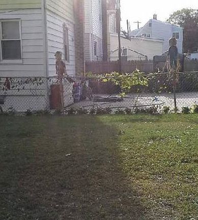 back yard