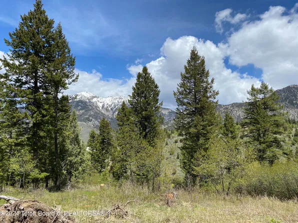 L-49A Cutthroat Run #B, Irwin, ID 83428
