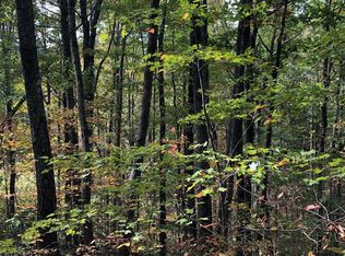 20 Lake View Rdg #1, Ellijay, GA 30540