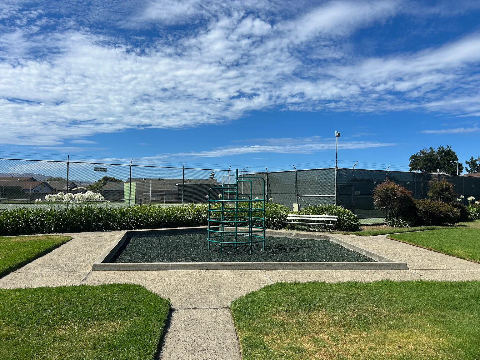 3 bed, 1.5 bath, 1536 sqft, $3,650 — Photo 3