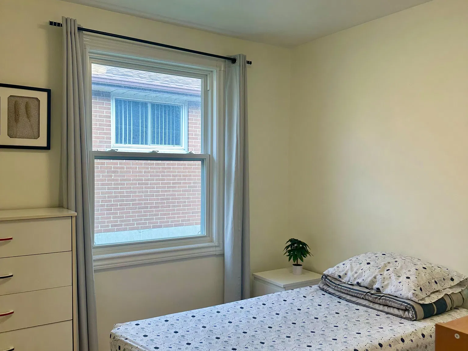 1 bed, $900 — Photo 3