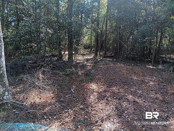 5th image of 0 Carpenter Ln