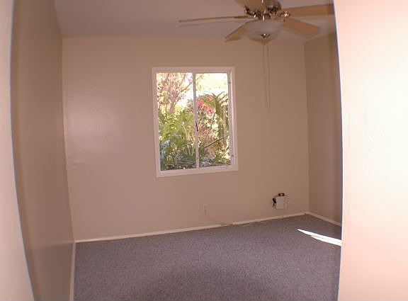 Back Bedroom