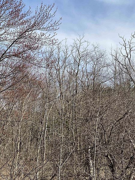5th image of COUNTY RT 408 #Parcel 127.-1-20