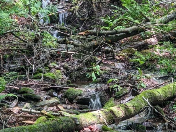 0 Tennanah Lake Road, Fremont, NY 12776