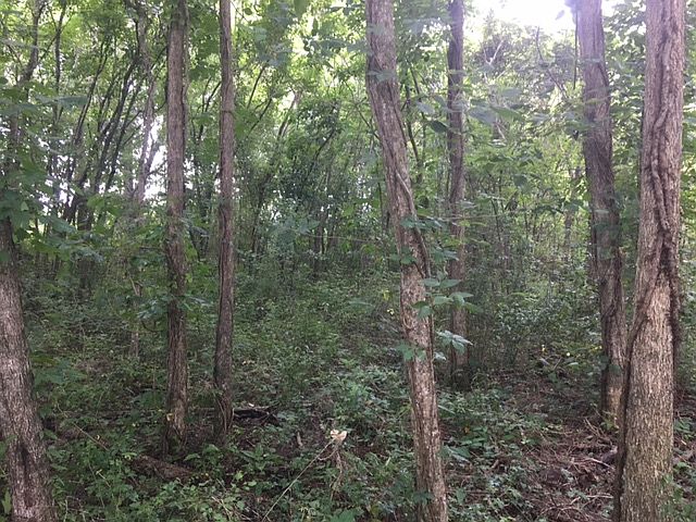 2nd image of 14226 Ventress Rd