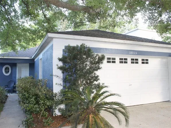 18035 Birdwater Dr, Tampa, FL 33647
