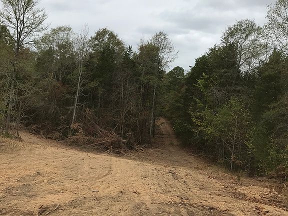 Road to back side of propert