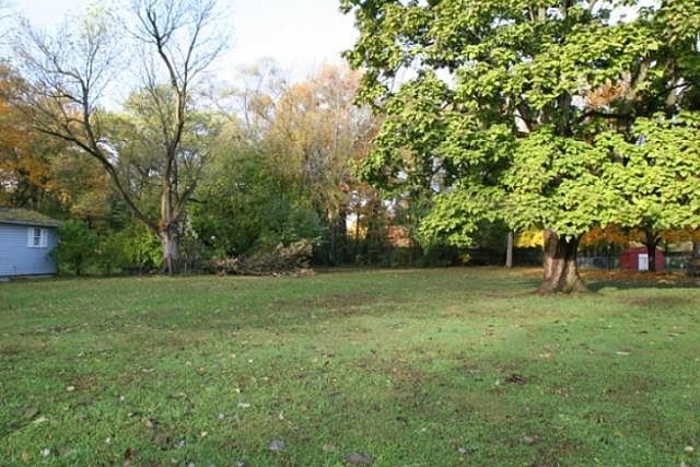 1st image of Burr Oak