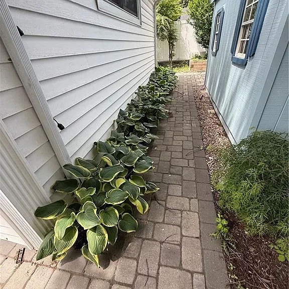 173 Rankin Ave — Photo 26