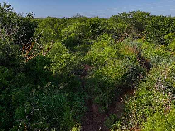 3rd image of Terrapin Rd