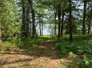 McCollum Lake Rd, Curran, MI 48728