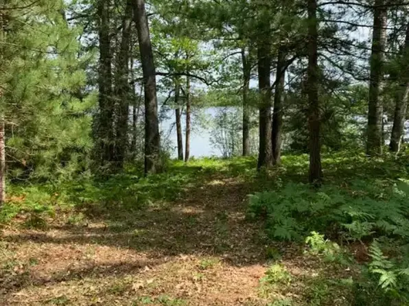 McCollum Lake Rd, Curran, MI 48728