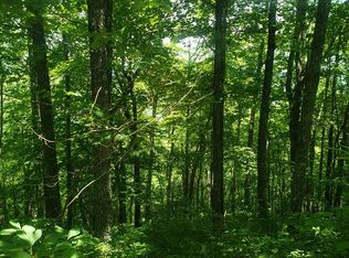 100 Hartwell Ln, Whittier, NC 28789