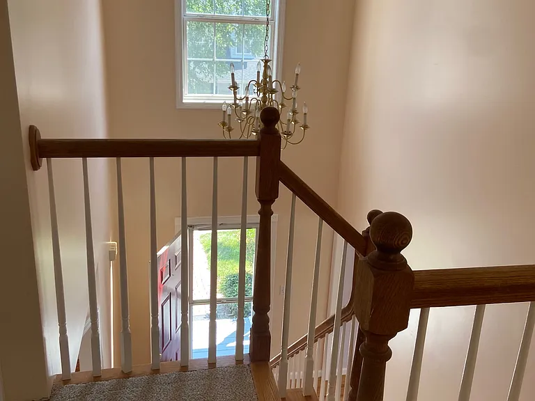 156 Palomino Pass — Photo 13
