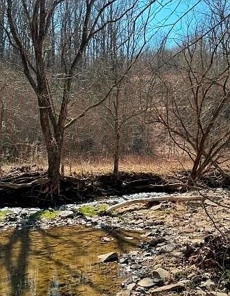 4th image of 0 Brush Run Rd