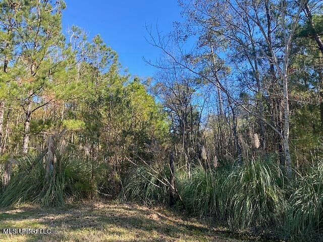 2nd image of 10074 Bayou Dr