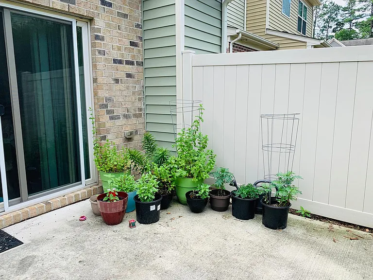 530 Whitworth Ln — Photo 25