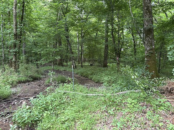 5th image of 1189 Mulberry Rd