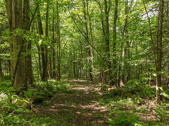 3rd image of 1243 North Hollow Road