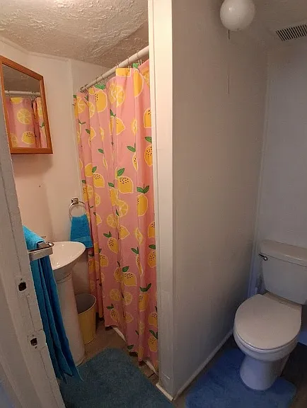 11 Riberia St #1 — Photo 13