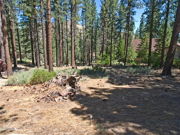 50 Pinon Rd, Markleeville, CA 96120