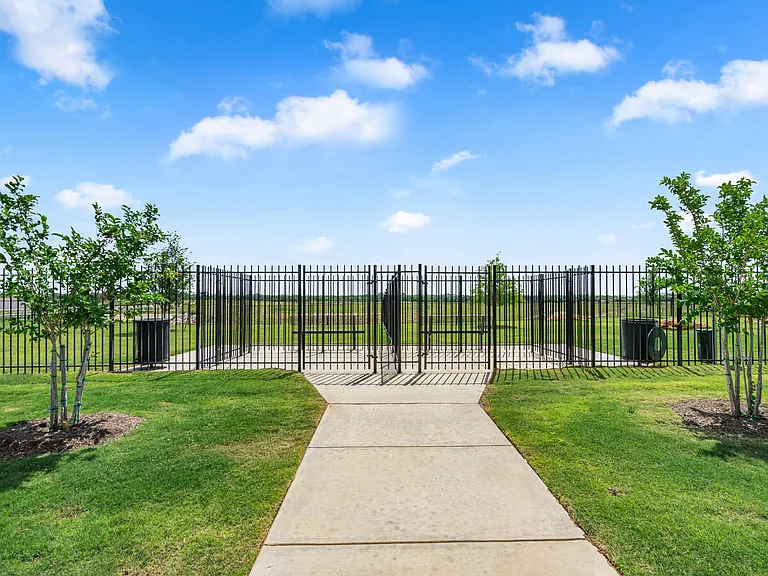 Dog park