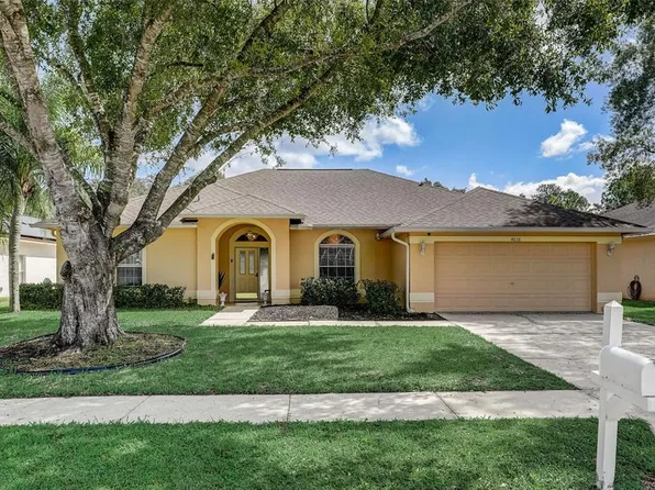 4838 Basswood St, Land O Lakes, FL 34639