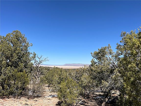 4th image of 32984 W Doblar Circle