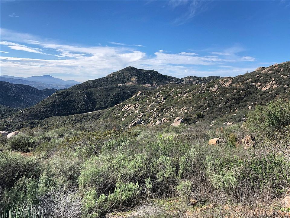 2nd image of 0 Wildcat Cyn #43