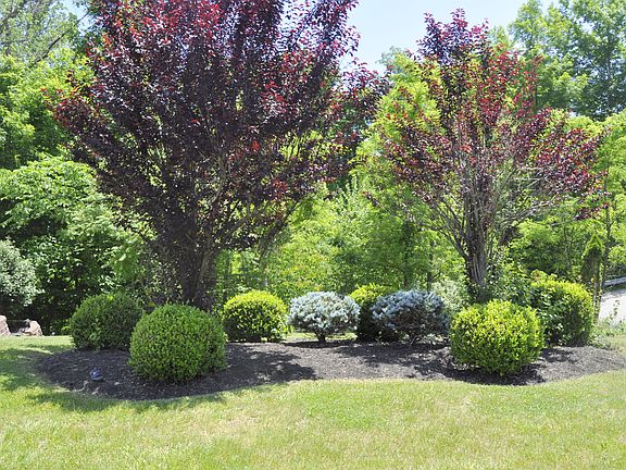 4th image of 107 Yorktowne Pl