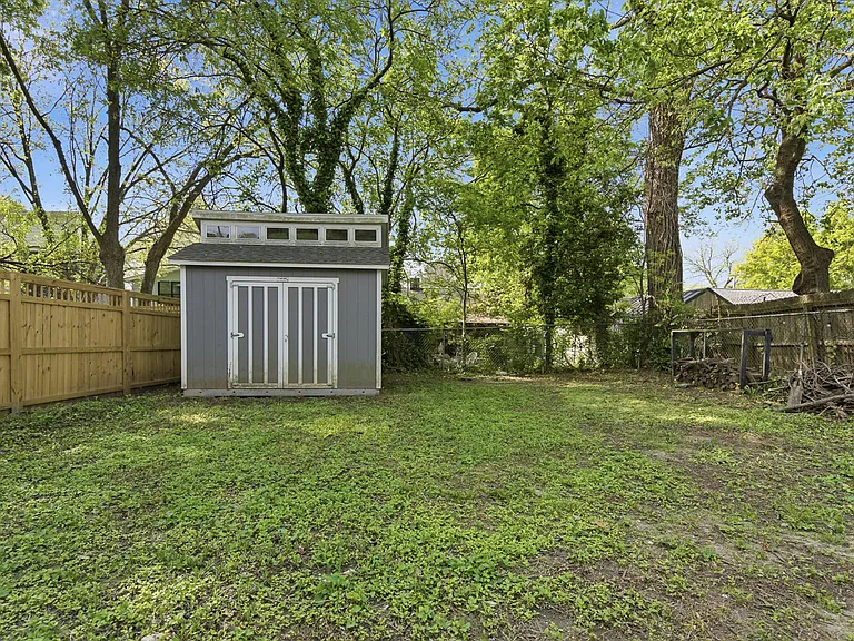 Back yard