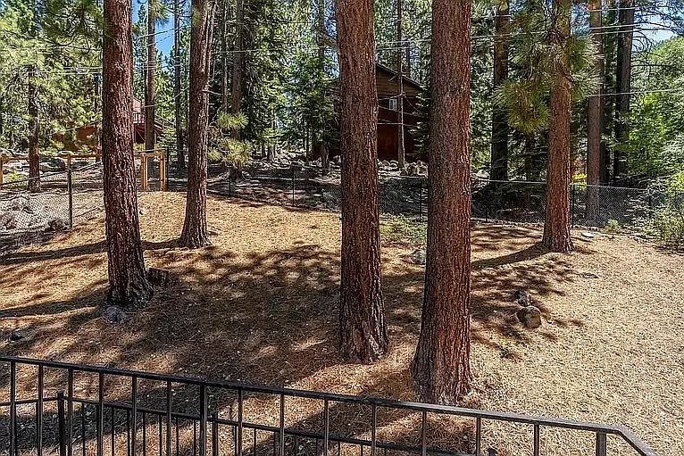 185 Juniper Dr — Photo 12