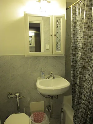 Rented by Manhattan Flats | media 34