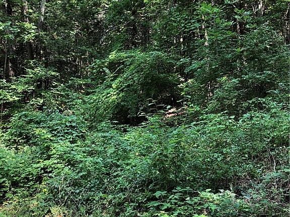 3rd image of 36 Old Sharon Road 3