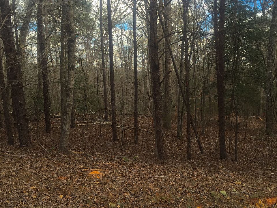 Wooded, Mountain Views