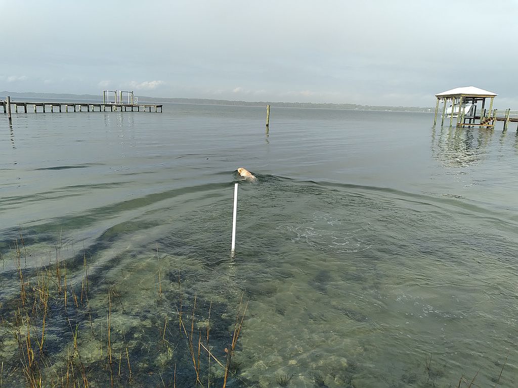 147 Harbor Cir, Panacea, FL 32346 Zillow