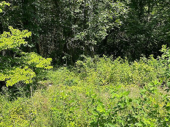 3rd image of 93 Stoneykirk Dr