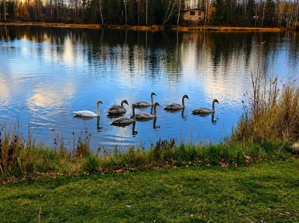 9732 W Stanley Dr, Wasilla, AK 99623